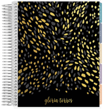 erin condren lifeplanner